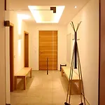 Ferdi Mountain Base Luxury In Dachstein Mountains Chalet