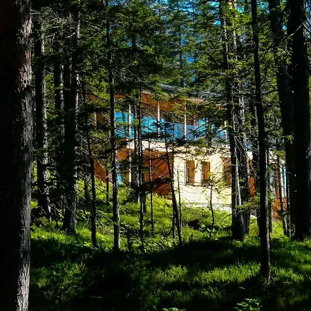 Ferdi Mountain Base Luxury In Dachstein Mountains