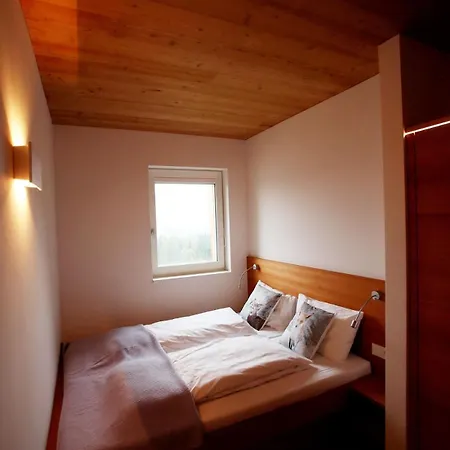 Chalet Ferdi Mountain Base Luxury In Dachstein Mountains