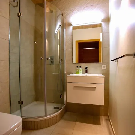 Ferdi Mountain Base Luxury In Dachstein Mountains