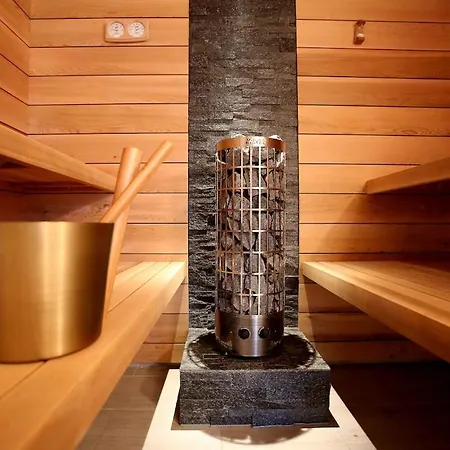 Chalet Ferdi Mountain Base Luxury In Dachstein Mountains *