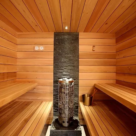 Ferdi Mountain Base Luxury In Dachstein Mountains