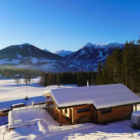Ferdi Mountain Base Luxury In Dachstein Mountains Chalet Pichl-Preunegg
