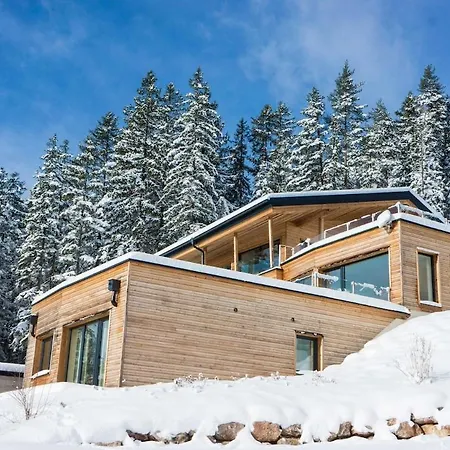 Ferdi Mountain Base Luxury In Dachstein Mountains * Pichl-Preunegg