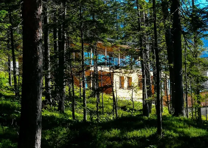 Ferdi Mountain Base Luxury In Dachstein Mountains