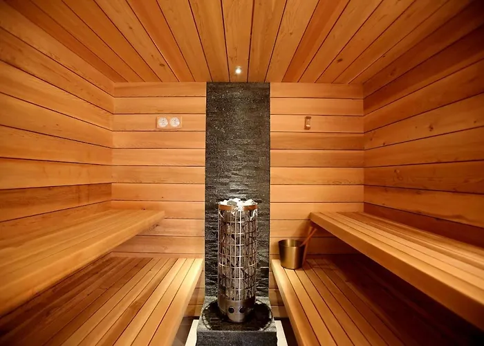 Ferdi Mountain Base Luxury In Dachstein Mountains